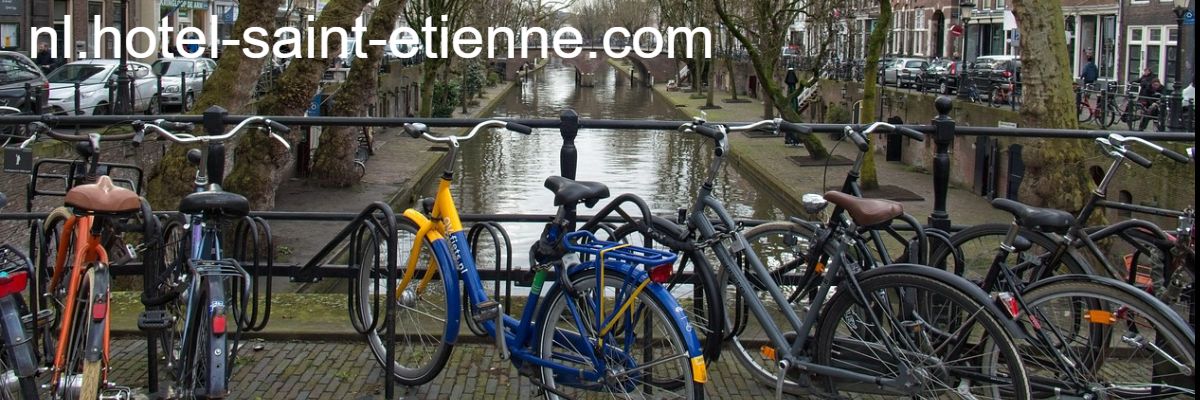 nl.hotel-saint-etienne.com